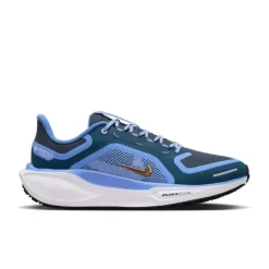 Pegasus 41 Gore-Tex>Nike Hot