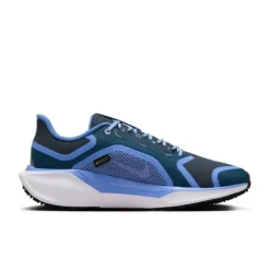 Pegasus 41 Gore-Tex>Nike Hot